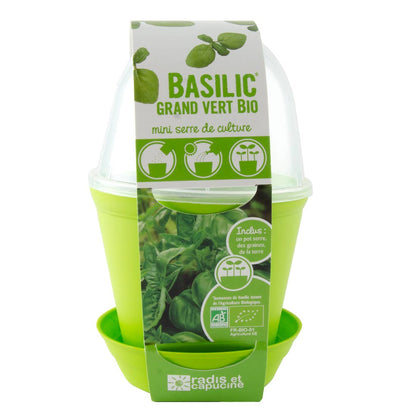 Pot Cloche - Basilic bio - Kit créatif de jardinage Enfant