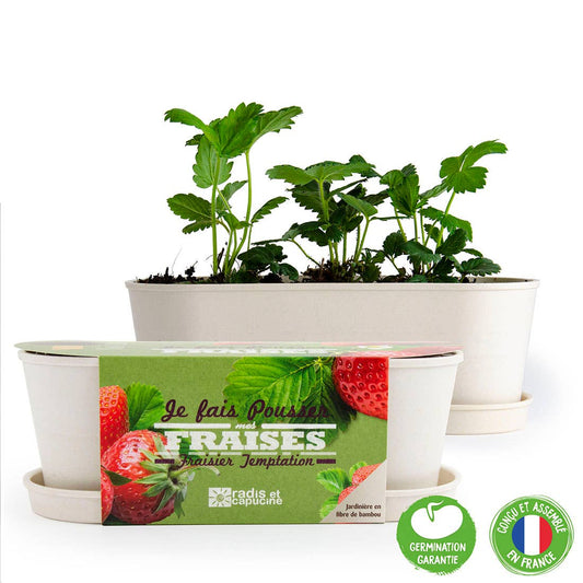 Jardinière Bambou -  Fraisier - Kit créatif de jardinage Enfant