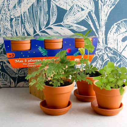 Trio 3 pots plantes magiques - Kit créatif de jardinage Enfant