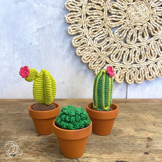 Kit de crochet à faire soi-même - Cactus