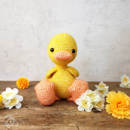 Kit de crochet à faire soi-même - Abby Duck