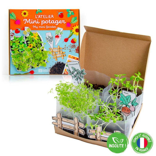 Coffret Mini Potager Bio - Kit créatif de jardinage Enfant