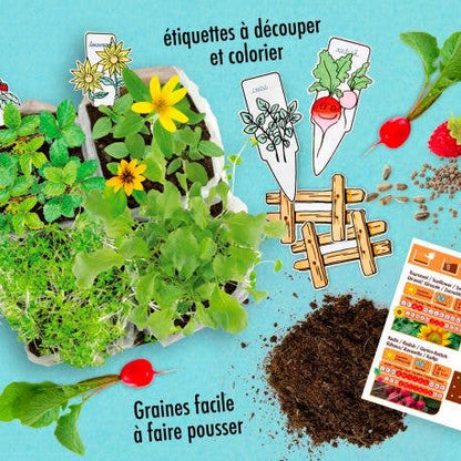 Coffret Mini Potager Bio - Kit créatif de jardinage Enfant