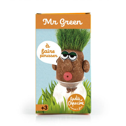 Tête a pousser avec graines de gazon - Mr Green - Kit créatif de jardinage Enfant