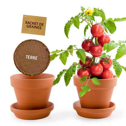 Plantes gourmandes - Tomates cerises bio - Kit créatif de jardinage Enfant