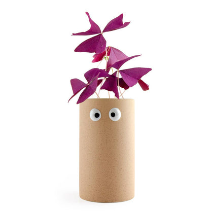 Pot visage - "Girl power" - Oxalis pourpre - Kit créatif de jardinage Enfant