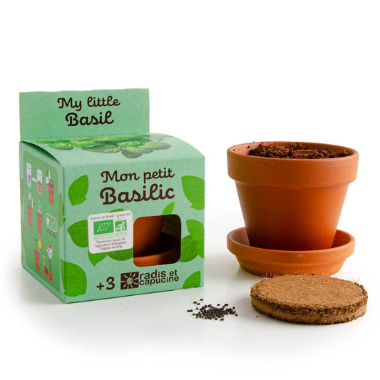 Plantes gourmandes - Basilic bio - Kit créatif de jardinage Enfant