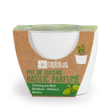 Pot blanc - Basilic  bio - Kit créatif de jardinage Enfant