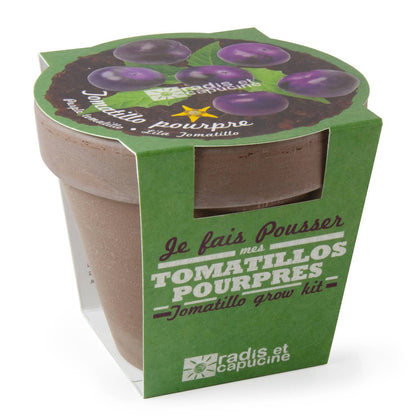 Pot Terre cuite Basalte - Tomatillos pourpres - Kit créatif de jardinage Enfant