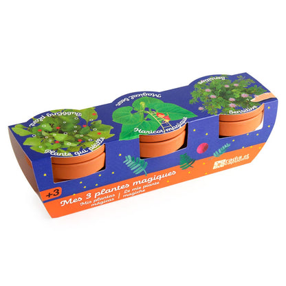 Trio 3 pots plantes magiques - Kit créatif de jardinage Enfant