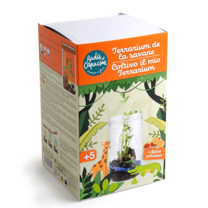 Terrarium de la Savane - Kit créatif de jardinage Enfant