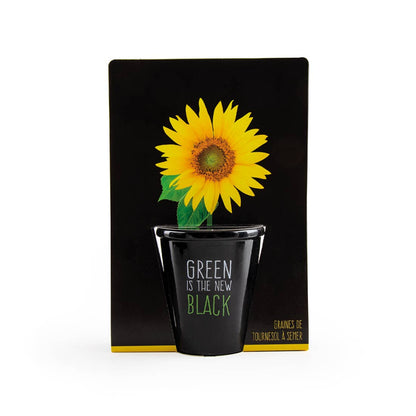 Gamme black - Tournesol - Kit créatif de jardinage Enfant