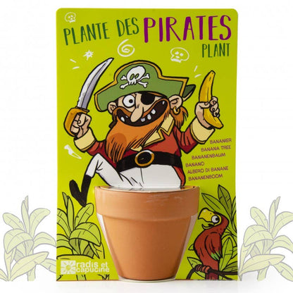 Carte nature  Pirate - Bananier - Kit créatif de jardinage Enfant