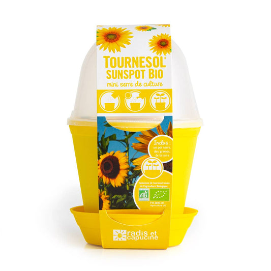 Pot Cloche - Tournesol bio - Kit créatif de jardinage Enfant