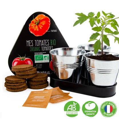 Trio pots zinc - Tomates Bio - Kit créatif de jardinage Enfant