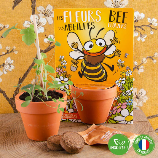 Carte nature Fleurs des abeilles - Kit créatif de jardinage Enfant