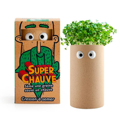 Pot visage - "Chauve qui peut" Basilic grand vert - Kit créatif de jardinage Enfant