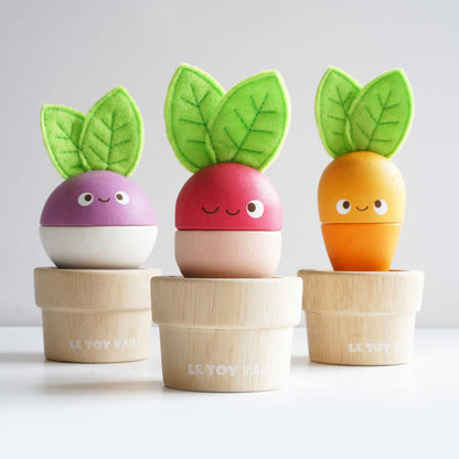 Plug-in pour légumes - Jeu sensoriel enfant