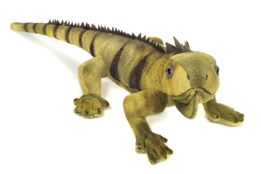 Iguana 49 cm - peluche - peluche