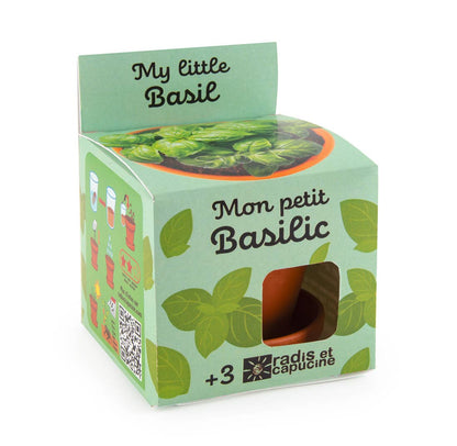 Plantes gourmandes - Basilic bio - Kit créatif de jardinage Enfant