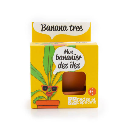 Le bananier - Kit créatif de jardinage Enfant