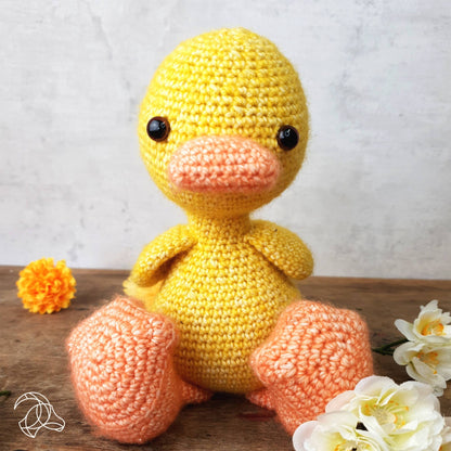 Kit de crochet à faire soi-même - Abby Duck