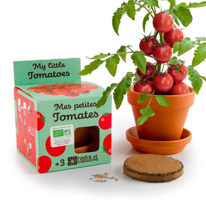 Plantes gourmandes - Tomates cerises bio - Kit créatif de jardinage Enfant