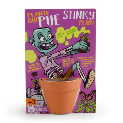 Carte nature Zombie - Plante qui pue - Kit créatif de jardinage Enfant