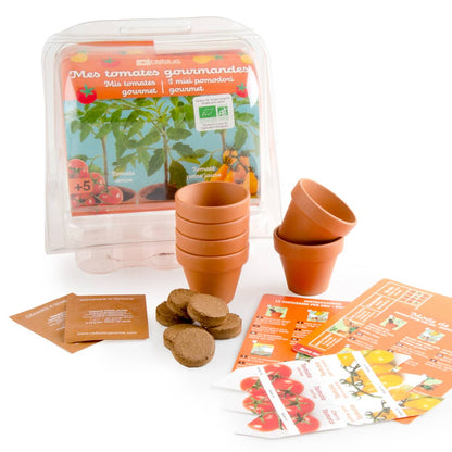 Serre 6 pots - Tomates Bio enfants - Kit créatif de jardinage Enfant