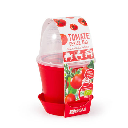 Pot Cloche - Tomate cerise bio - Kit créatif de jardinage Enfant