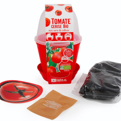 Pot Cloche - Tomate cerise bio - Kit créatif de jardinage Enfant