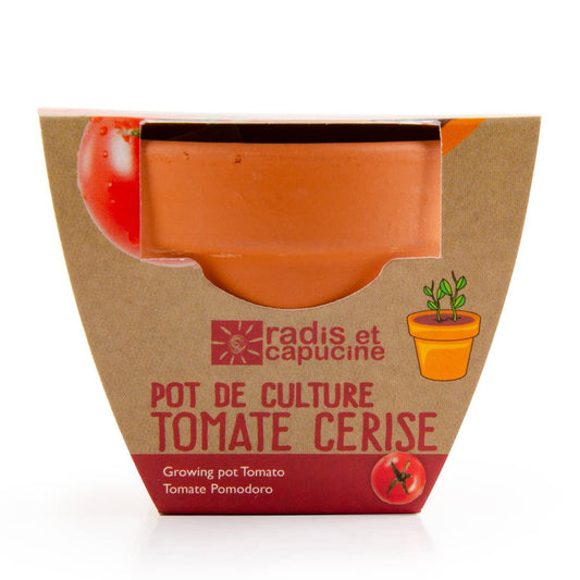 Mini Kit Terre Cuite - Tomate Cerise Bio - Kit créatif de jardinage Enfant