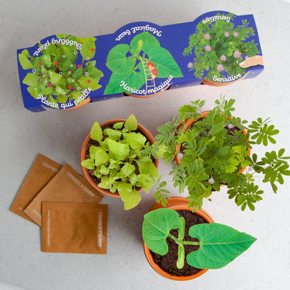 Trio 3 pots plantes magiques - Kit créatif de jardinage Enfant