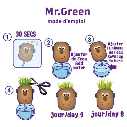 Tête a pousser avec graines de gazon - Mr Green - Kit créatif de jardinage Enfant