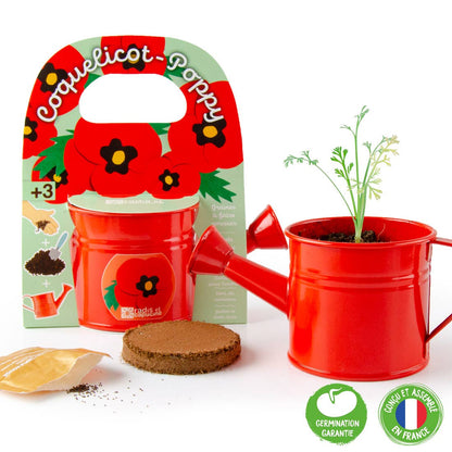 Kit pour apprendre à jardiner coquelicot - Kit créatif de jardinage Enfant