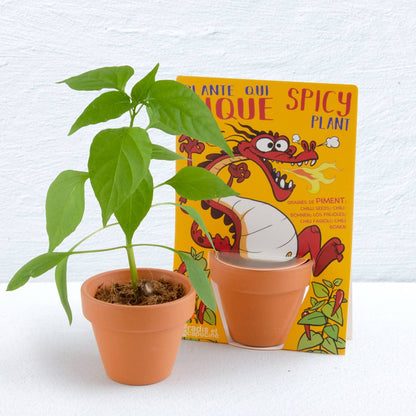 Carte nature Dragon + Piment de Cayenne  - Kit créatif de jardinage Enfant