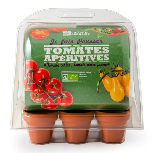 Serre 6 pots - Tomate bio - Kit créatif de jardinage Enfant