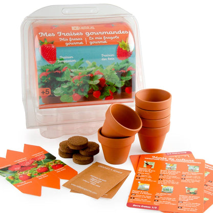 Serre plastique recyclé - Fraisiers - Kit créatif de jardinage Enfant