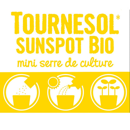 Pot Cloche - Tournesol bio - Kit créatif de jardinage Enfant