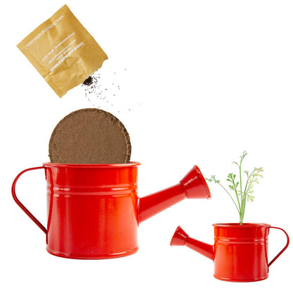 Kit pour apprendre à jardiner coquelicot - Kit créatif de jardinage Enfant