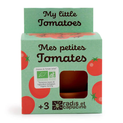 Plantes gourmandes - Tomates cerises bio - Kit créatif de jardinage Enfant