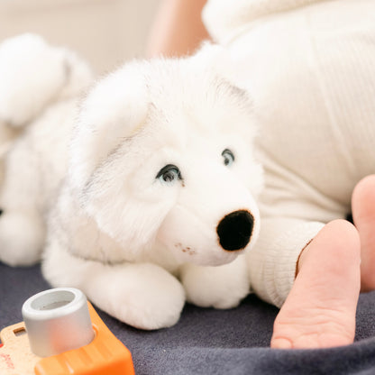 Ma peluche Husky Léonard