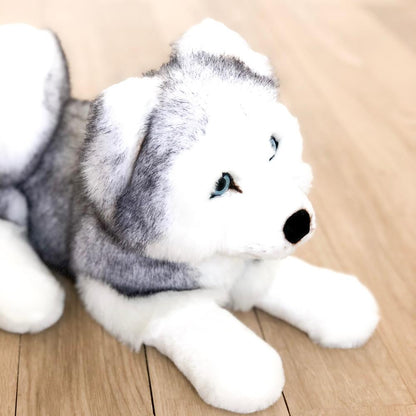 Ma peluche Husky Léonard