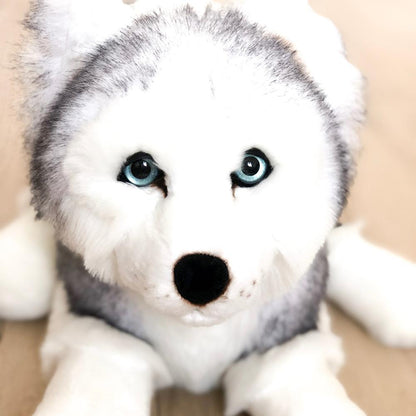 Ma peluche Husky Léonard