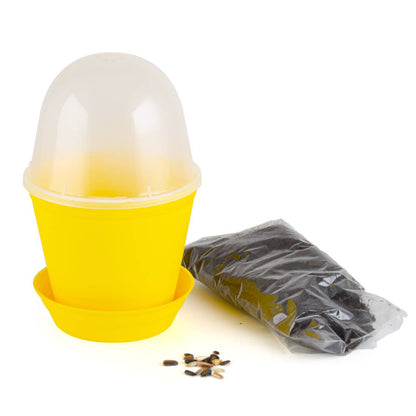 Pot Cloche - Tournesol bio - Kit créatif de jardinage Enfant