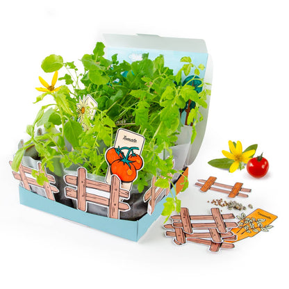 Coffret Mini Potager Bio - Kit créatif de jardinage Enfant