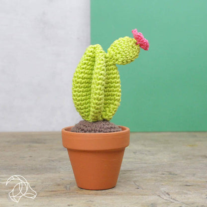 Kit de crochet à faire soi-même - Cactus