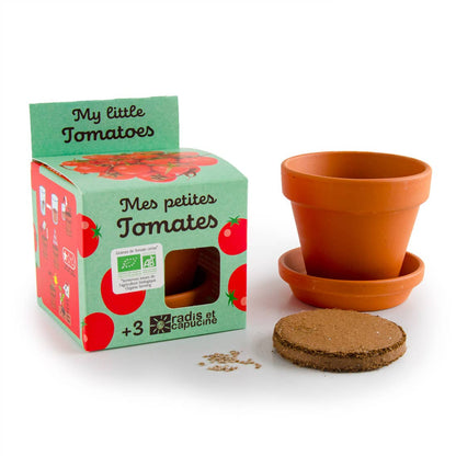 Plantes gourmandes - Tomates cerises bio - Kit créatif de jardinage Enfant