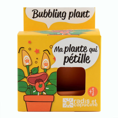 La plante qui pétille - Kit créatif de jardinage Enfant