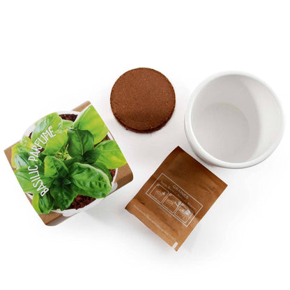 Pot blanc - Basilic  bio - Kit créatif de jardinage Enfant